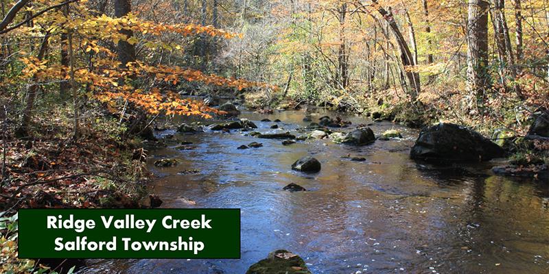 Picture of Ridge Valley Creek